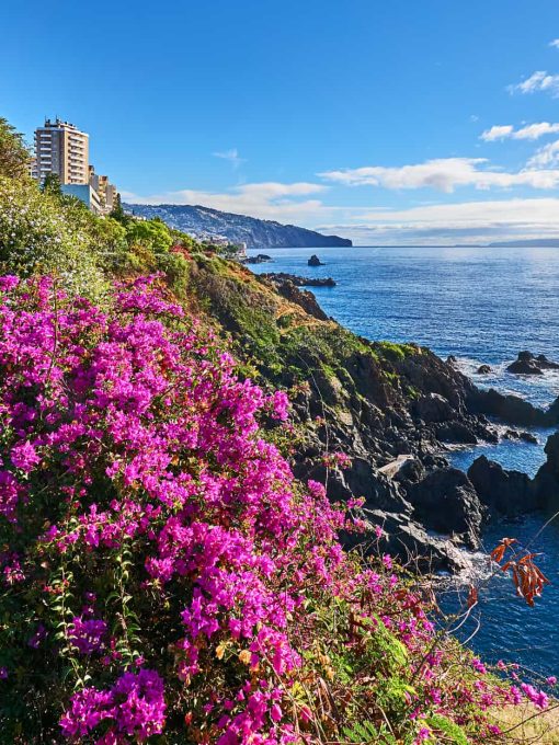 Madeira Gigago eSIM