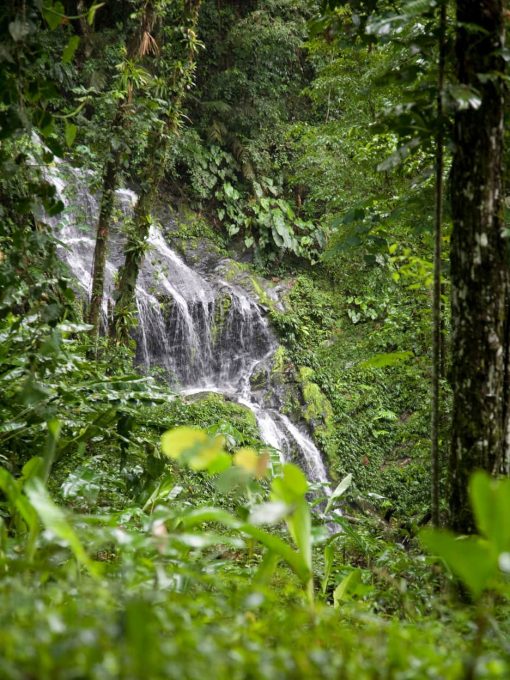 Suriname Gigago eSIM