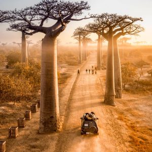 eSIM Madagascar de Gigago