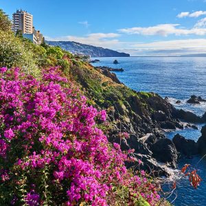 eSIM Madeira de Gigago