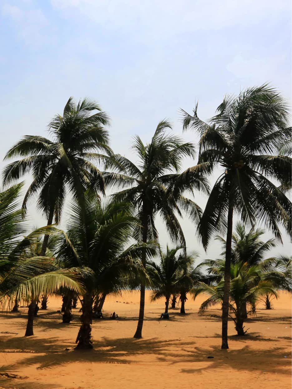 eSIM Togo de Gigago eSIM Togo de Gigago