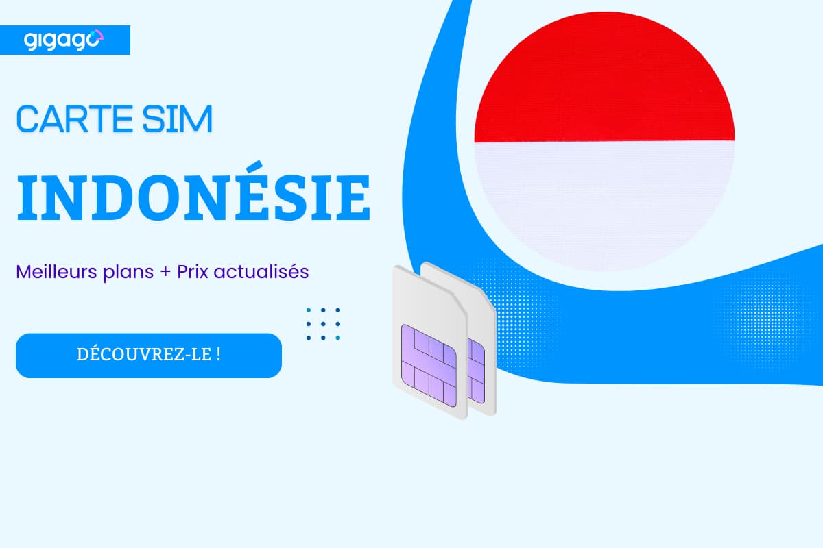 Meilleure Carte SIM Indonésie