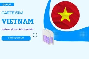 Meilleures Cartes SIM Vietnam pour les Touristes: Prix, Où acheter