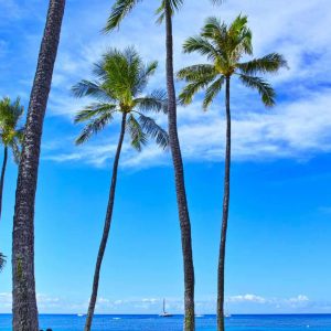 eSIM Honolulu oleh Gigago