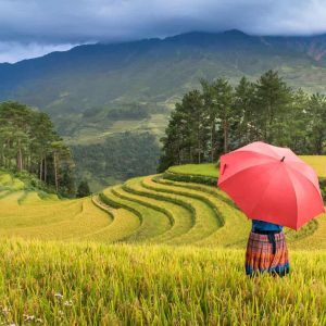 Sapa eSIM oleh Gigago