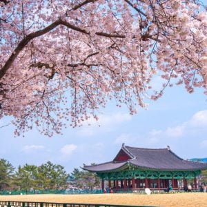 Korea Selatan eSIM oleh Gigago