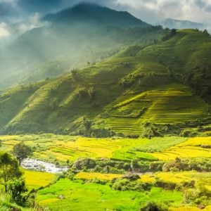 Vietnam eSIM oleh Gigago