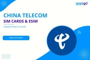 Schede SIM China Telecom