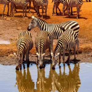 eSIM Africa (6 paesi) di Gigago