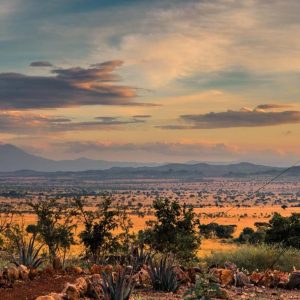 eSIM Uganda di Gigago