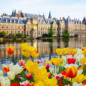 Gigago의 네덜란드 eSIM