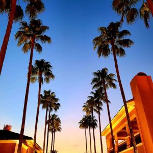 Gigago의 eSIM 올랜도