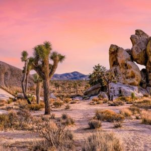 세네갈 Gigago eSIM