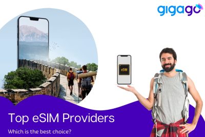 top eSIM providers
