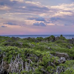 Guam Gigago eSIM