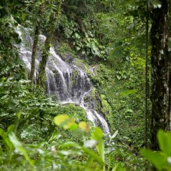 Suriname Gigago eSIM