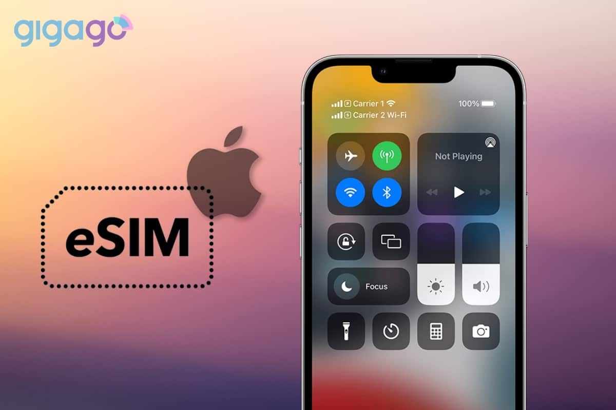 eSIM becomes a comom feature on iPhone