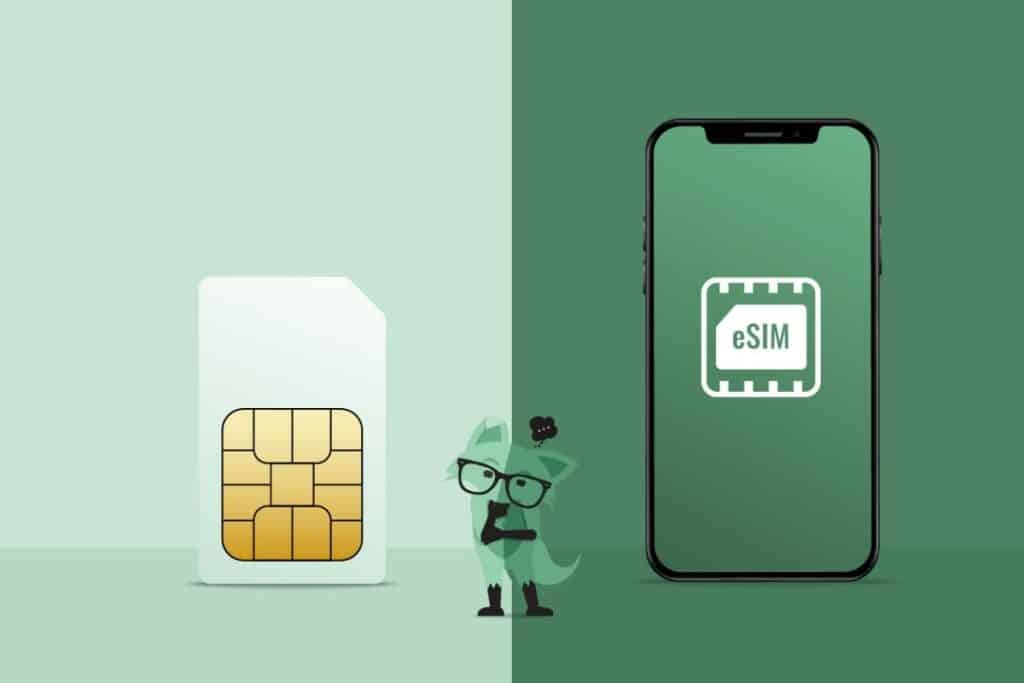 Canada SIM cards can be categorized into two types