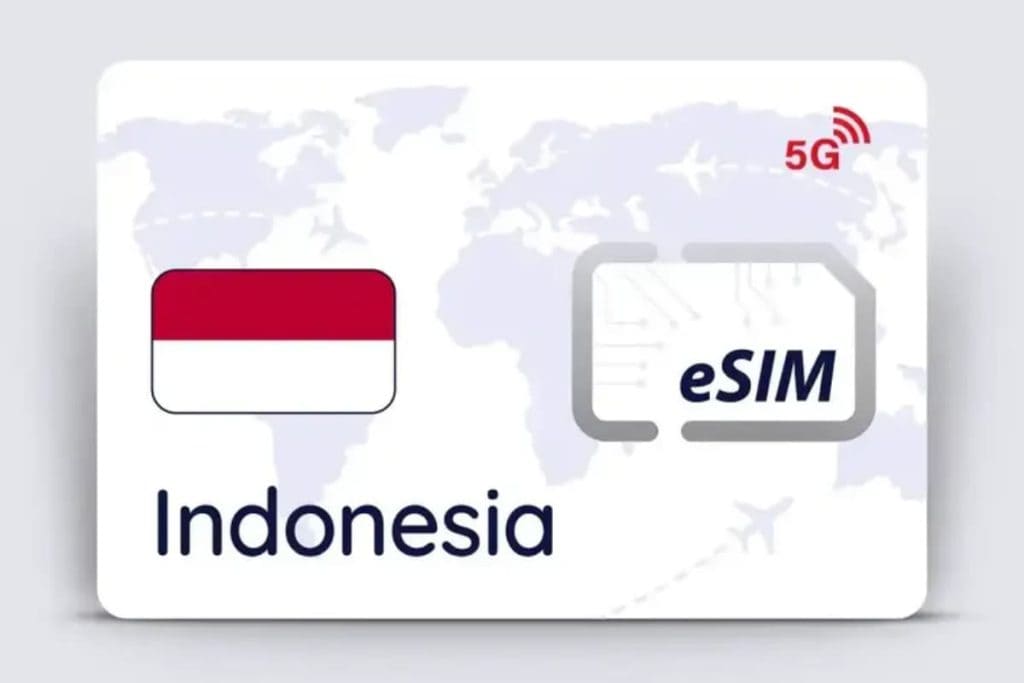 eSIM plans for tourists in Indonesia