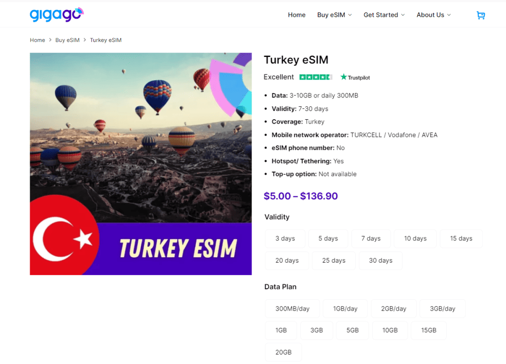You can buy eSIM at Gigago to use pocket wifi in Turkey