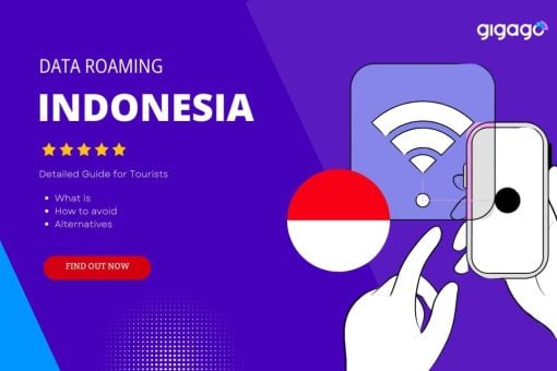 Best Indonesia SIM Cards for Tourists: 2025 Detailed Guide