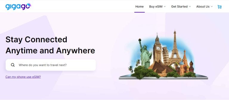 HOW TO USE IPHONE WHEN TRAVELING INTERNATIONALLY visual data 5