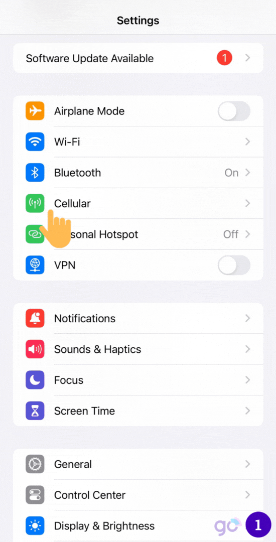 Access data of eSIM on iPhone XS