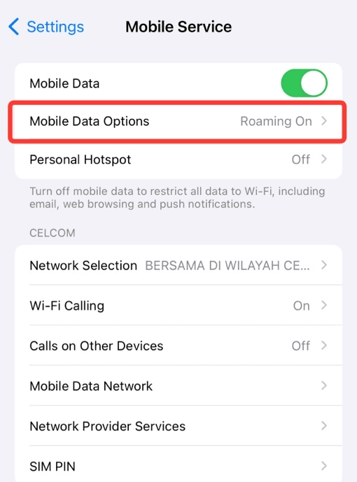 how-to-turn-off-roaming-on-iphone