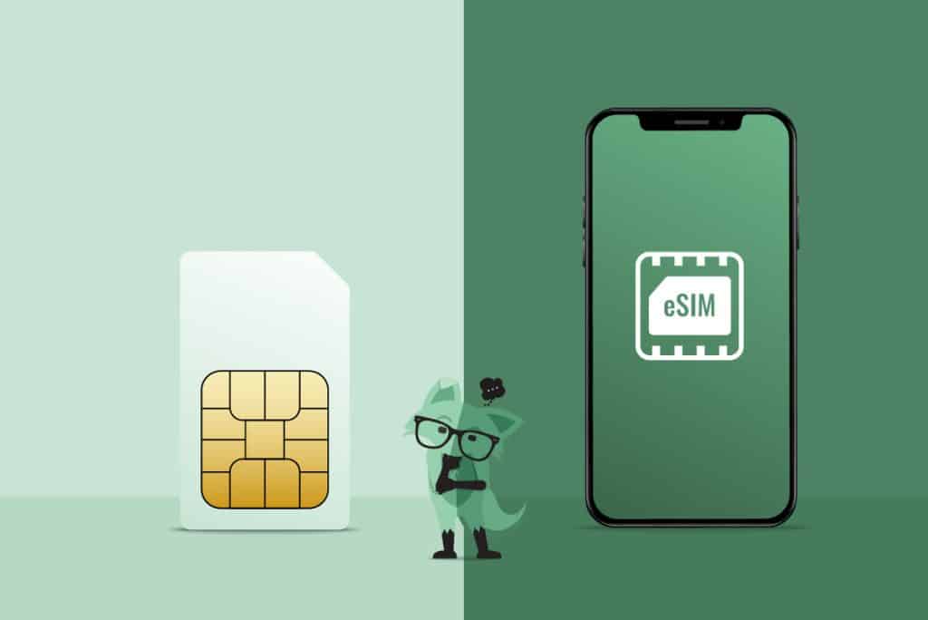 Choosing physical or eSIM in Cameroon