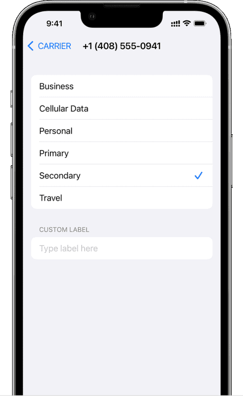 Label your plan to easily manage multiple eSIMs on iPhone