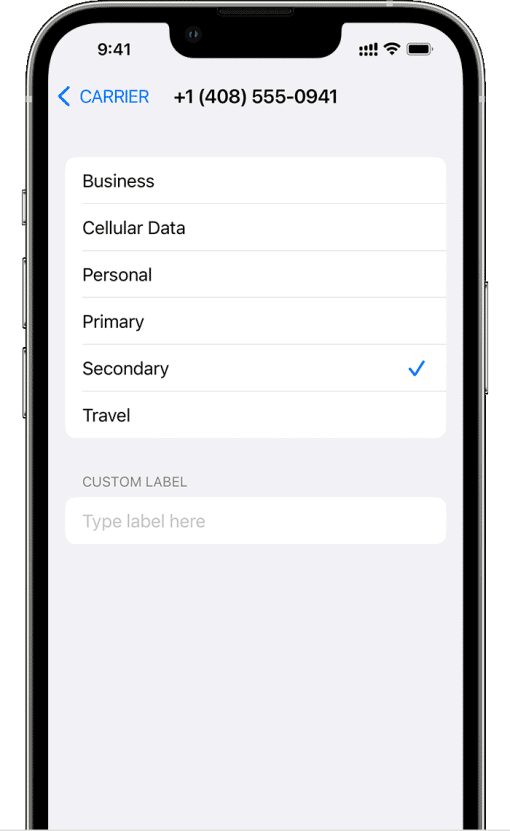 How many eSIMs can an iPhone have? Understanding eSIM limitations