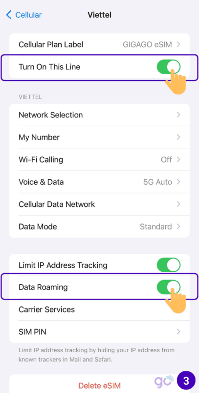 Steps to check if eSIM is already installed iPhone