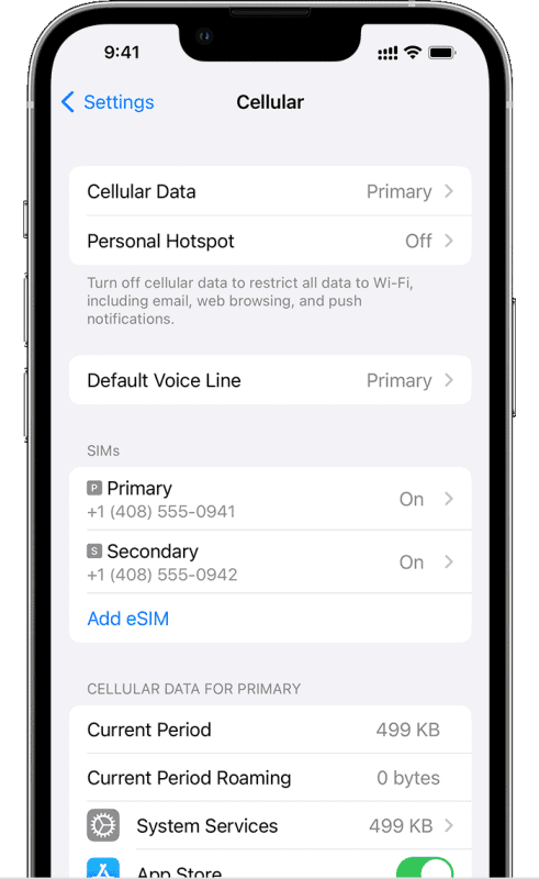 Screen to check eSIM status on iPhone