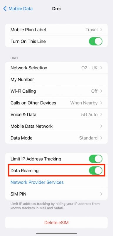 Screen to turn on data roaming