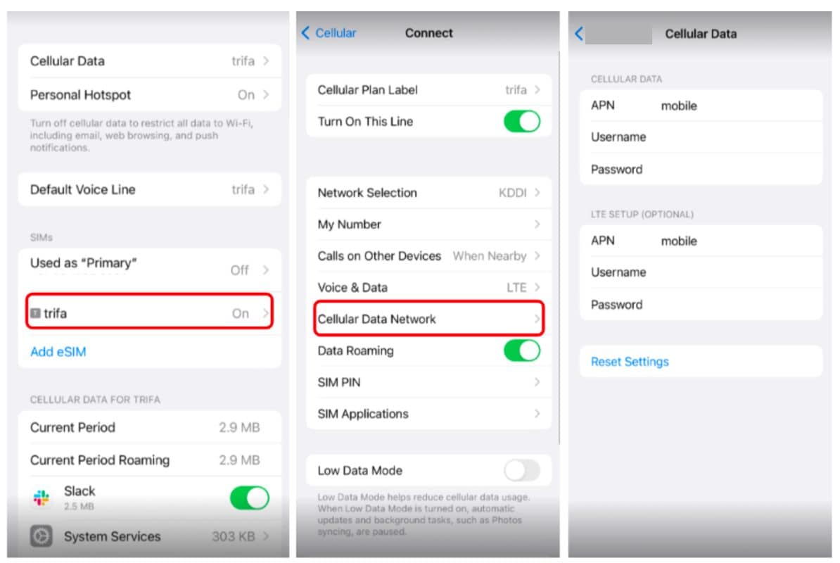 Way to verfiy APN settings on iPhone