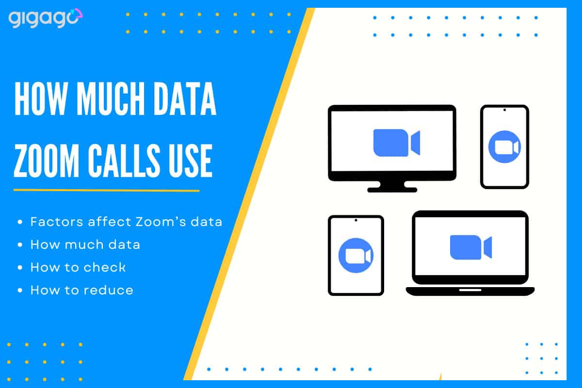 How much data does Zoom call use