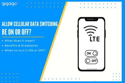 Should "Allow Cellular Data Switching" be on or off?