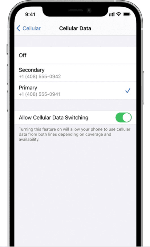 Turn on Cellular Data Switching on iPhone