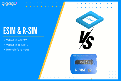 eSIM vs. R-SIM