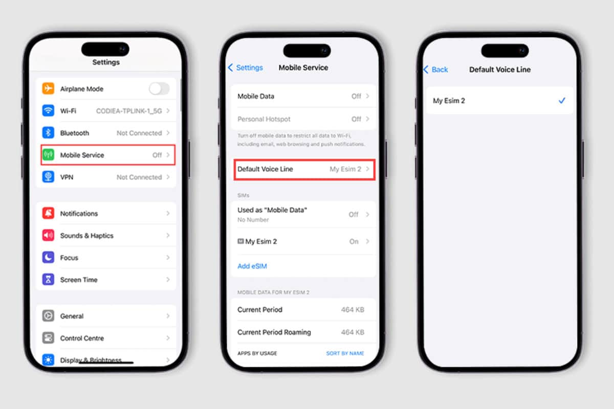 Guide to set default voice line on iPhone