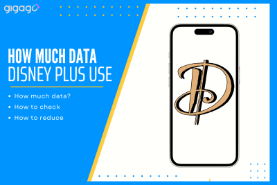 How much data does Disney Plus use?