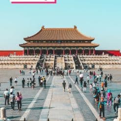 China eSIM support TikTok by Gigago