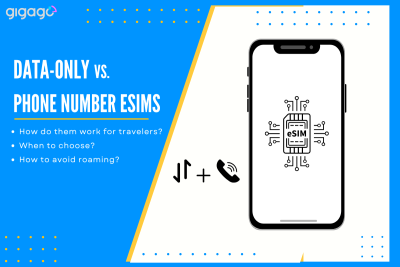Data only vs phone number esims