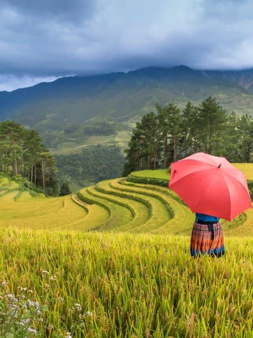 Sapa eSIM by Gigago