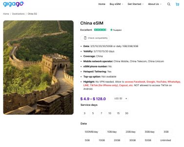 Is Google Banned in China? How Can I Access it There?