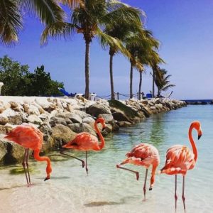 阿魯巴 Gigago eSIM